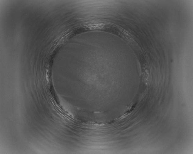 X0000051240604200507011628