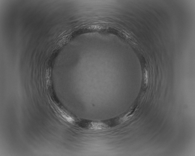 X0000051240605200507011628