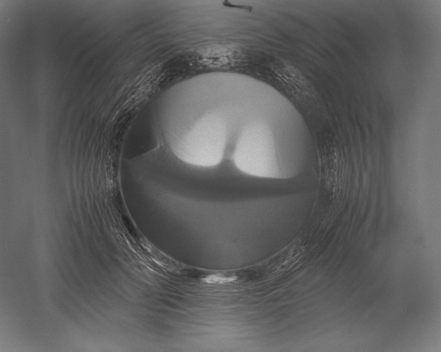 X0000051240606200507011628