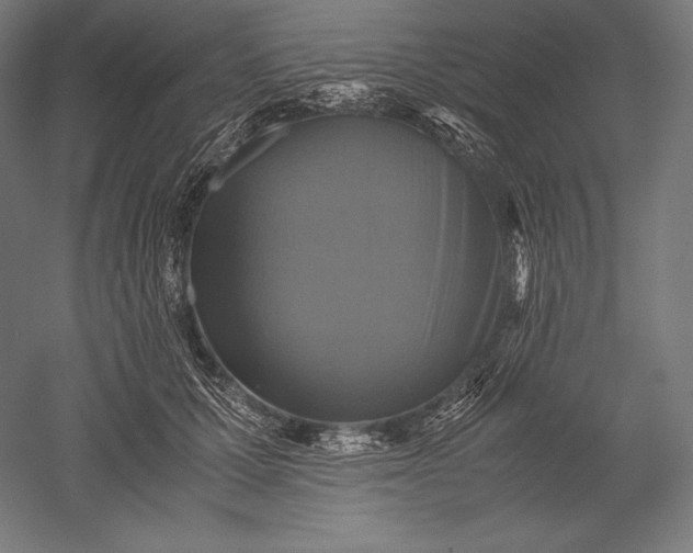 X0000051240607200507011628