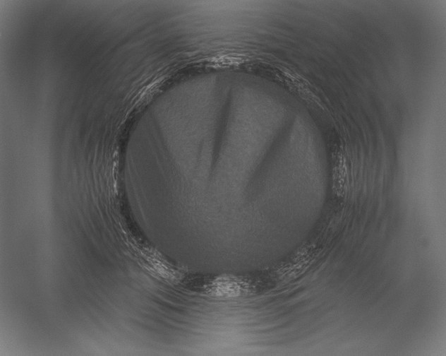 X0000051240608200507011628