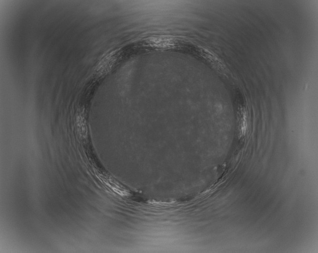 X0000051240609200507011628