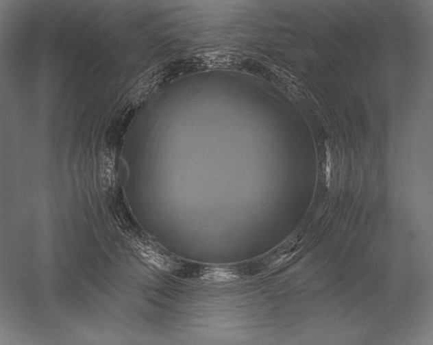 X0000051240610200507011628