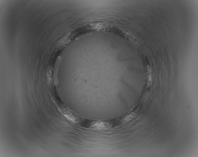 X0000051240611200507011628