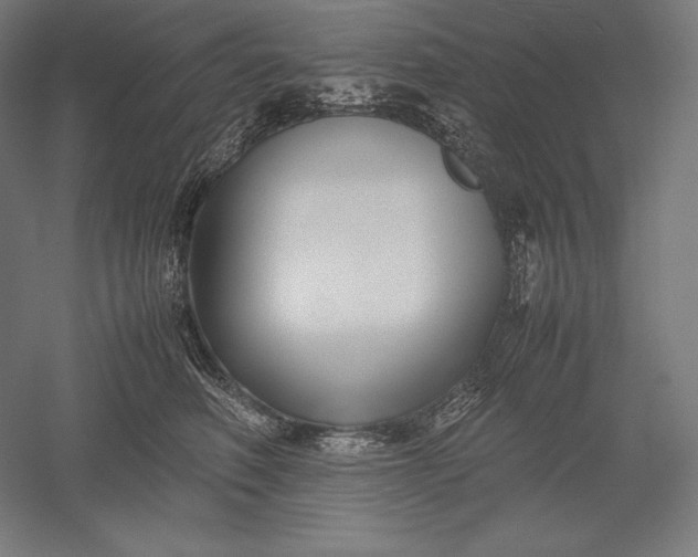 X0000051240614200507011628