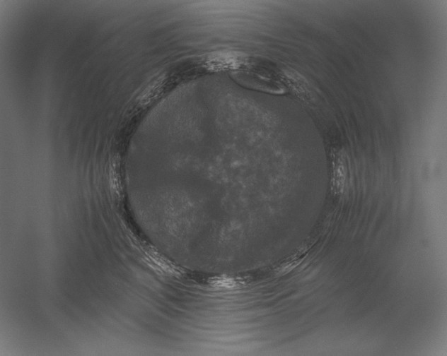 X0000051240616200507011628