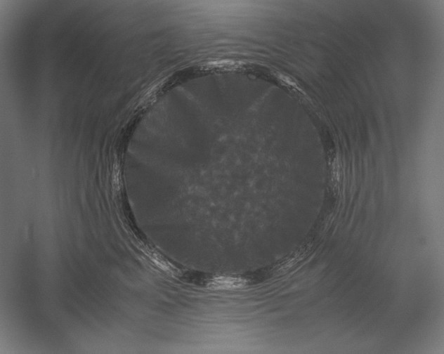 X0000051240617200507011628