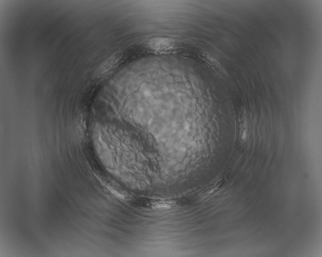 X0000051240618200507011628