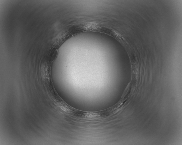 X0000051240619200507011628