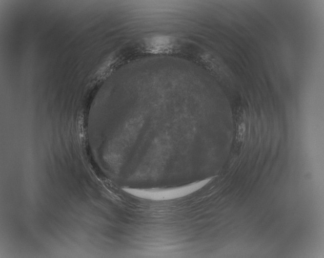 X0000051240620200507011628