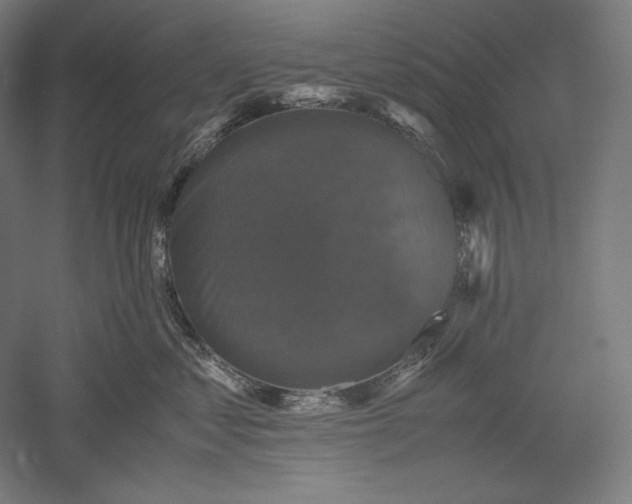 X0000051240621200507011628