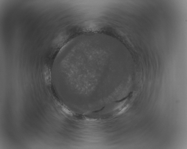 X0000051240624200507011628