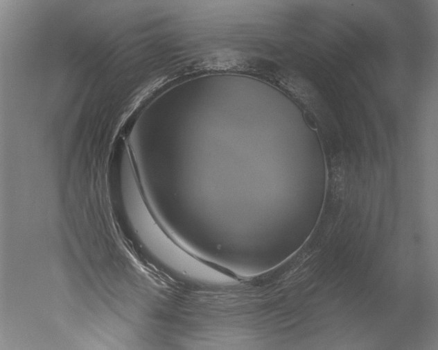 X0000051240626200507011627