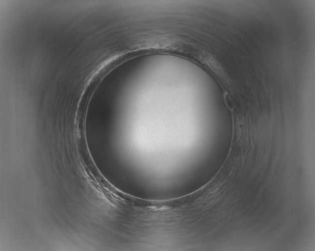 X0000051240628200507011627