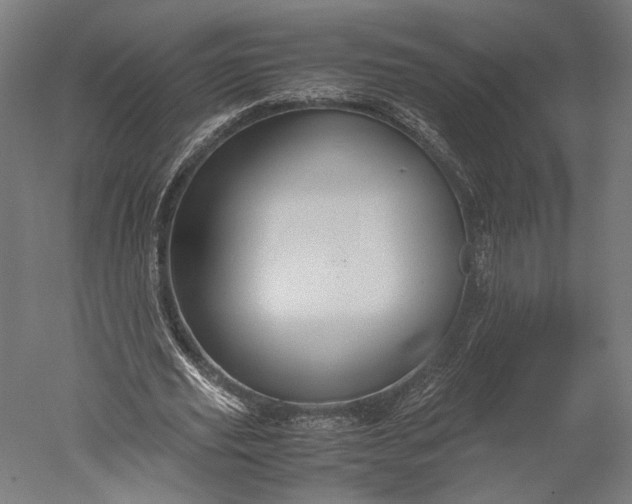 X0000051240629200507011627