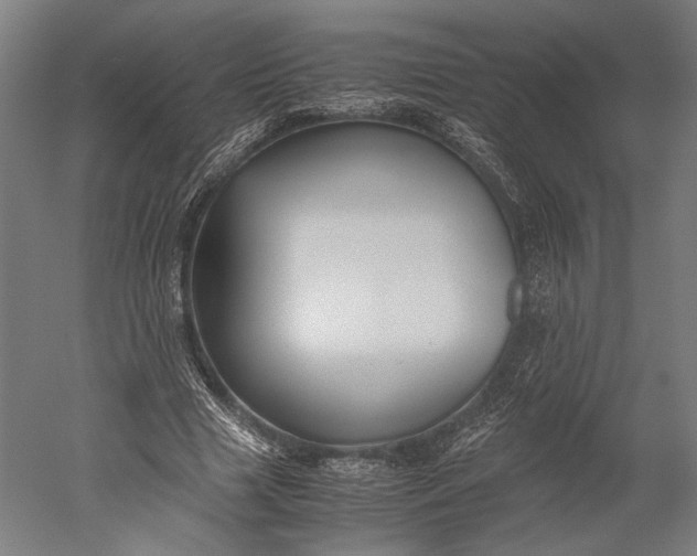 X0000051240633200507011627