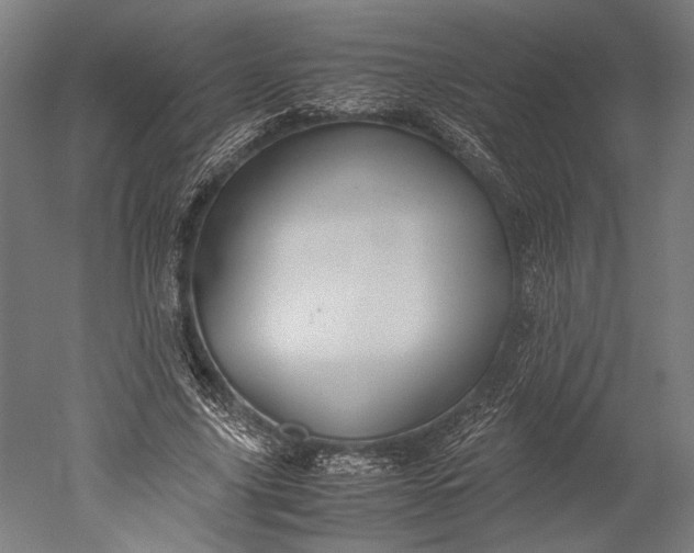 X0000051240635200507011627