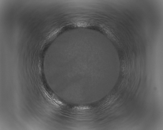 X0000051240639200507011627