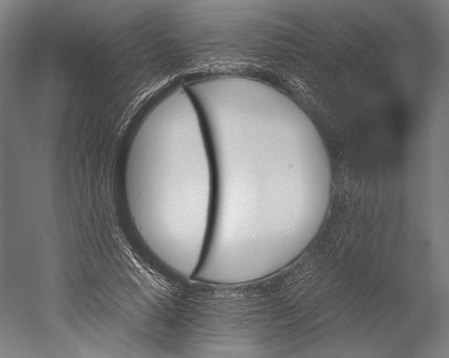 X0000051240640200507011627