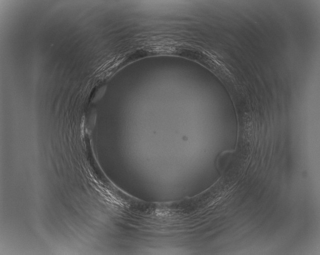 X0000051240641200507011627