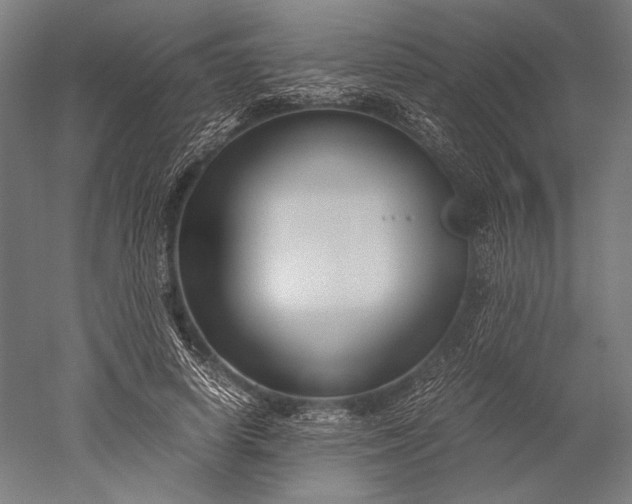 X0000051240642200507011627