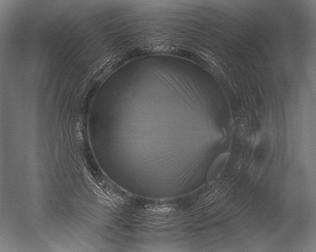 X0000051240643200507011627