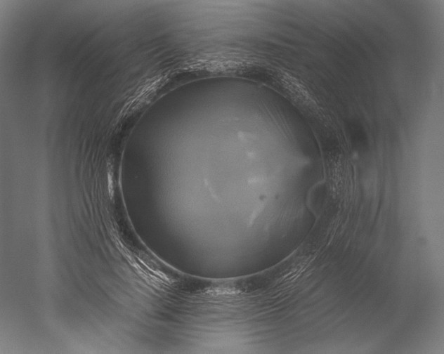 X0000051240644200507011627