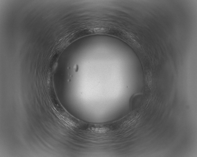 X0000051240645200507011627