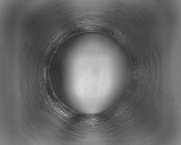 X0000051240646200507011627