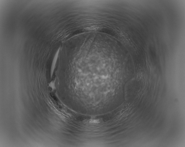 X0000051240647200507011627