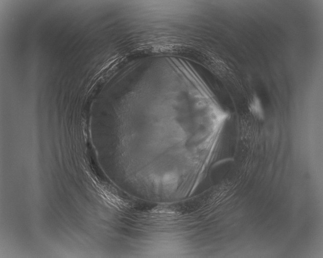 X0000051240648200507011627