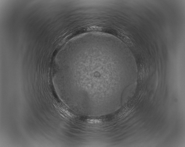 X0000051240649200507011627