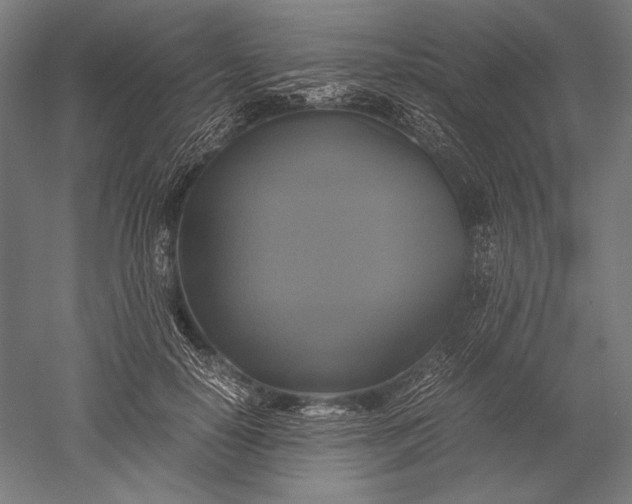 X0000051240650200507011627