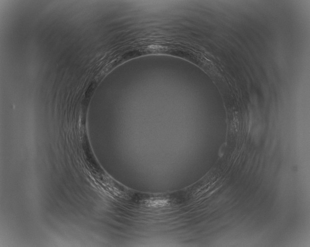 X0000051240651200507011627