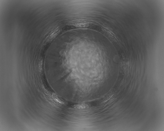 X0000051240652200507011627