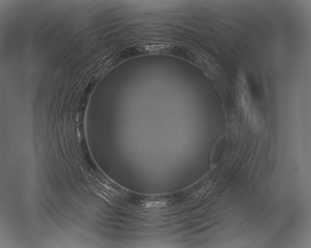 X0000051240653200507011627