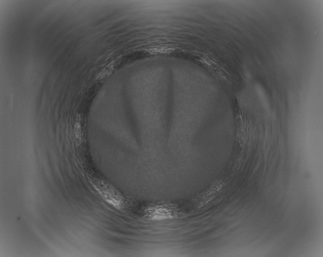 X0000051240655200507011627