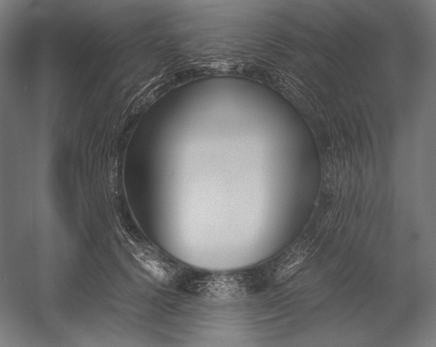 X0000051240656200507011627