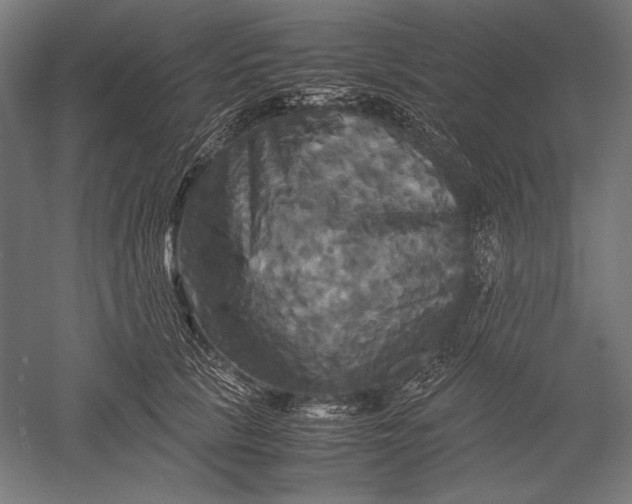 X0000051240657200507011627