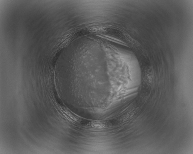 X0000051240658200507011627