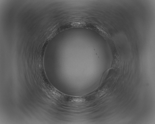 X0000051240659200507011627