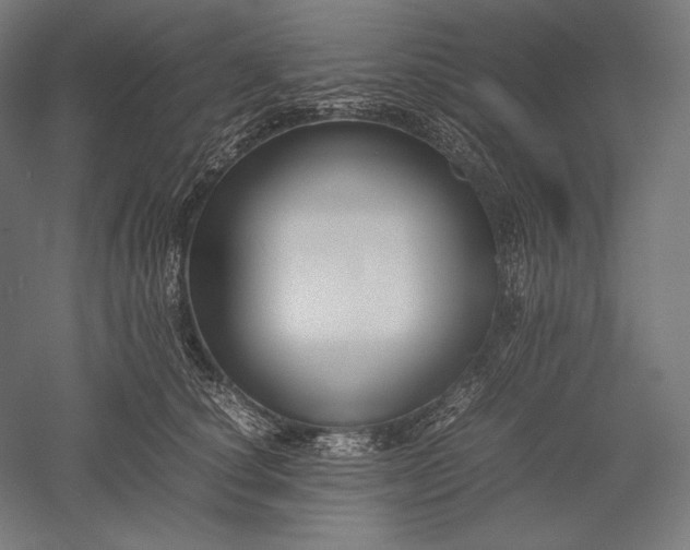 X0000051240660200507011627