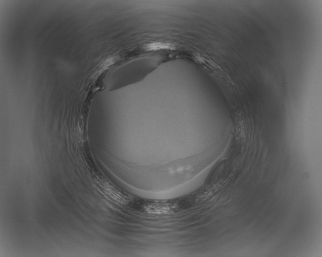 X0000051240661200507011627