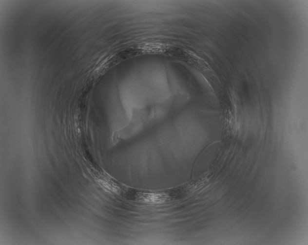 X0000051240663200507011627