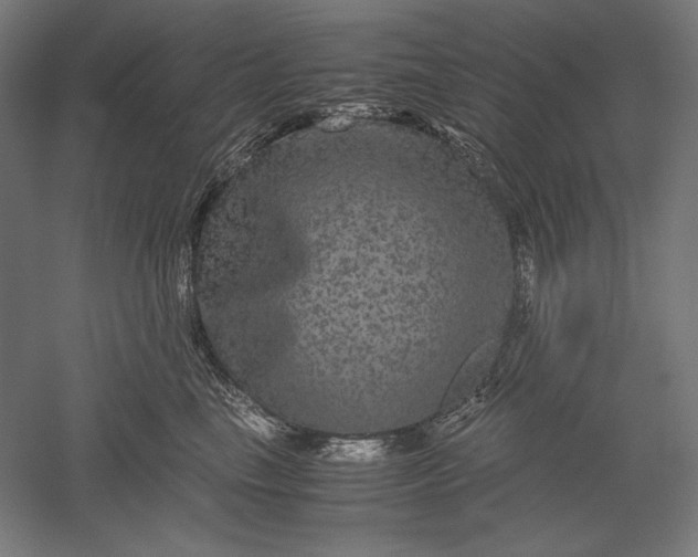 X0000051240665200507011627