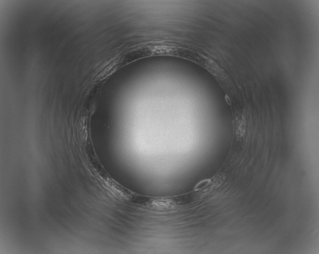 X0000051240666200507011627