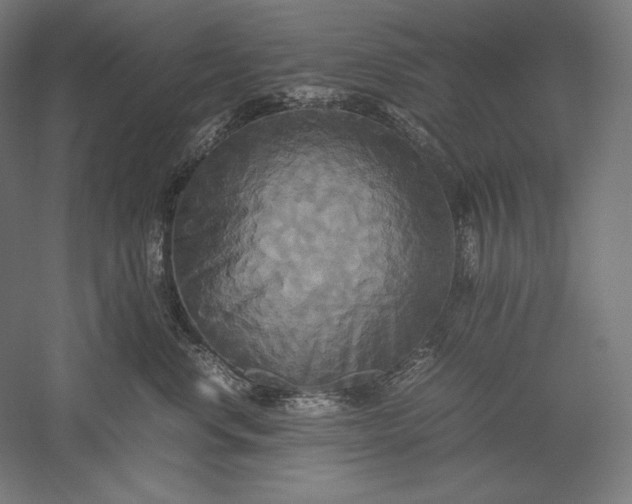 X0000051240668200507011627