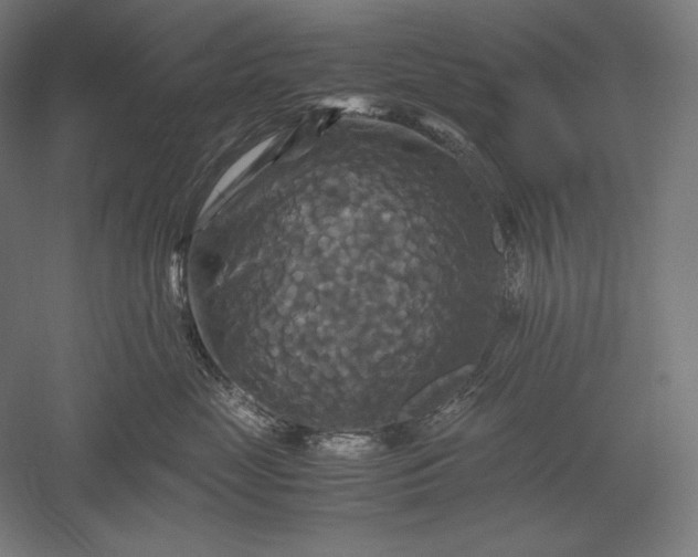 X0000051240669200507011627