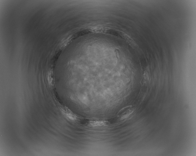 X0000051240671200507011627