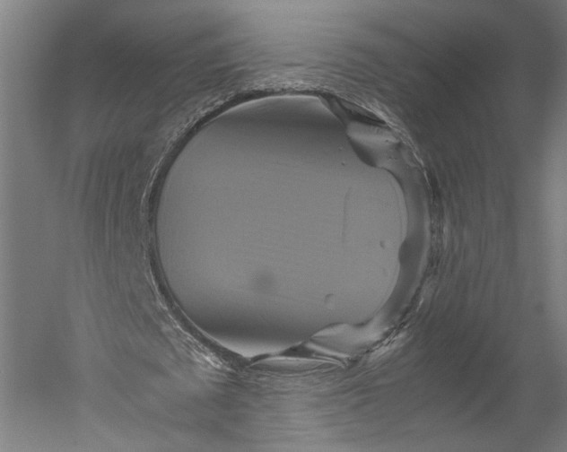 X0000051240673200507011627